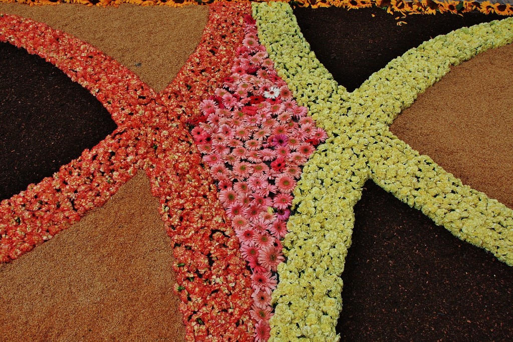 Foto: Alfombras de flores - La Garriga (Barcelona), España