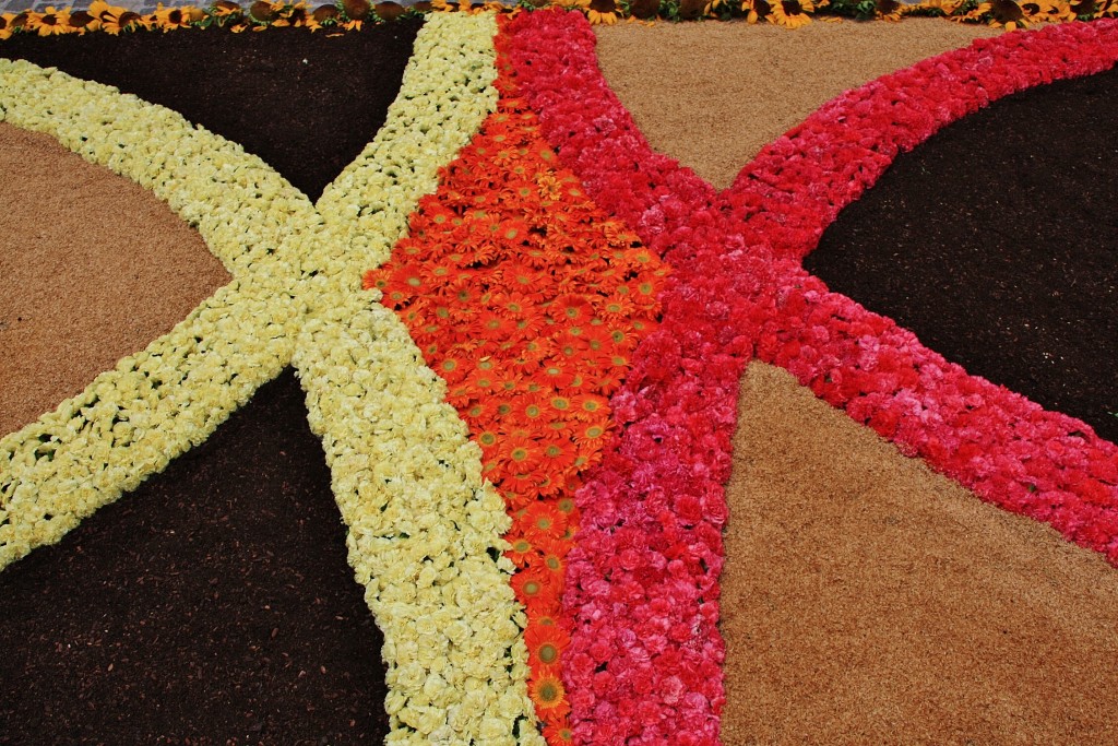 Foto: Alfombras de flores - La Garriga (Barcelona), España