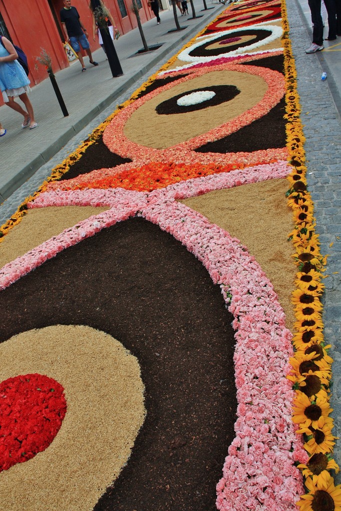 Foto: Alfombras de flores - La Garriga (Barcelona), España