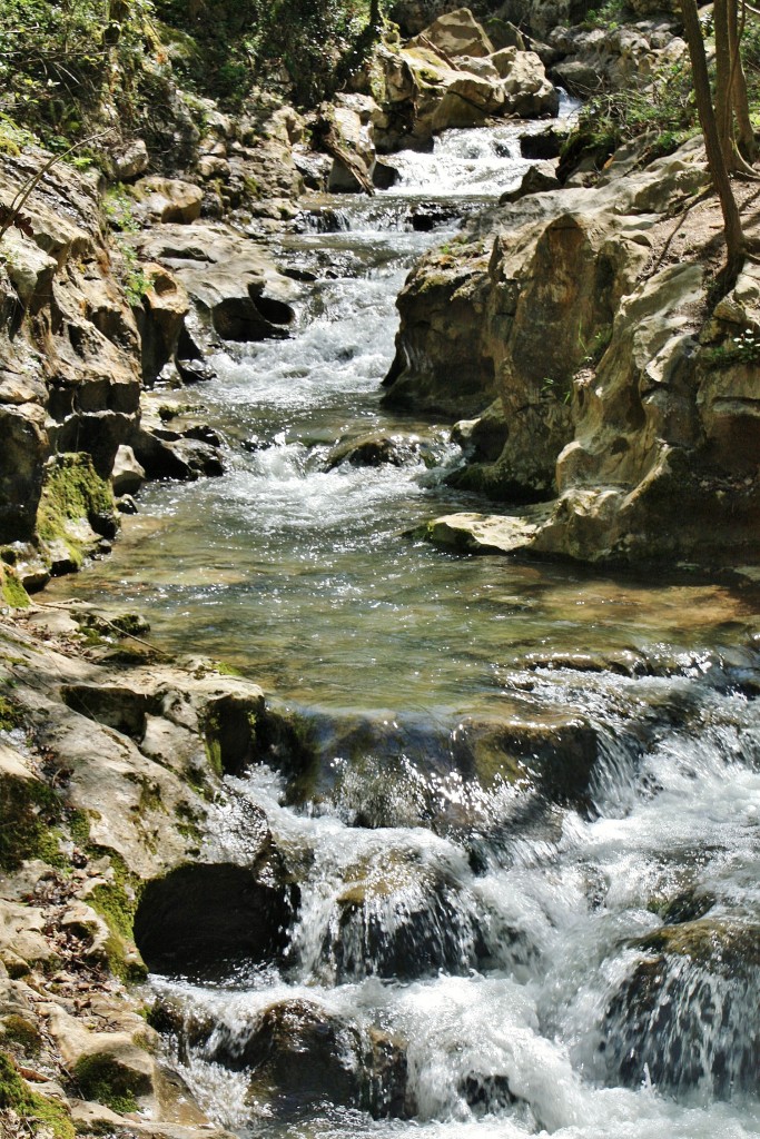 Foto: Arroyo Olabidea - Zugarramurdi (Navarra), España
