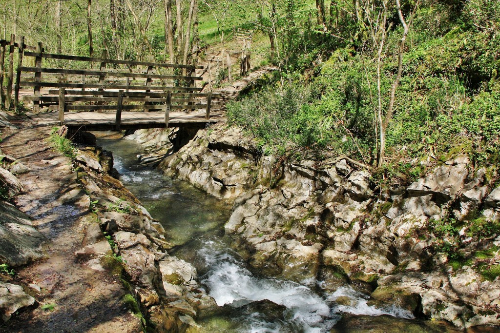Foto: Arroyo Olabidea - Zugarramurdi (Navarra), España