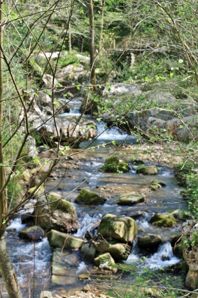 Foto: Arroyo Olabidea - Zugarramurdi (Navarra), España
