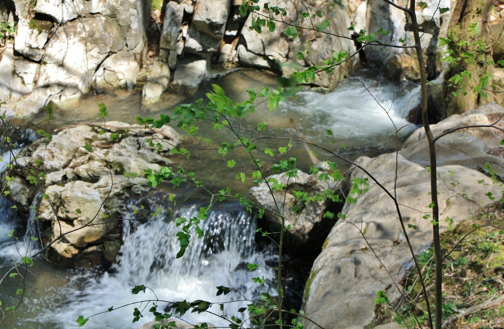 Foto: Arroyo Olabidea - Zugarramurdi (Navarra), España