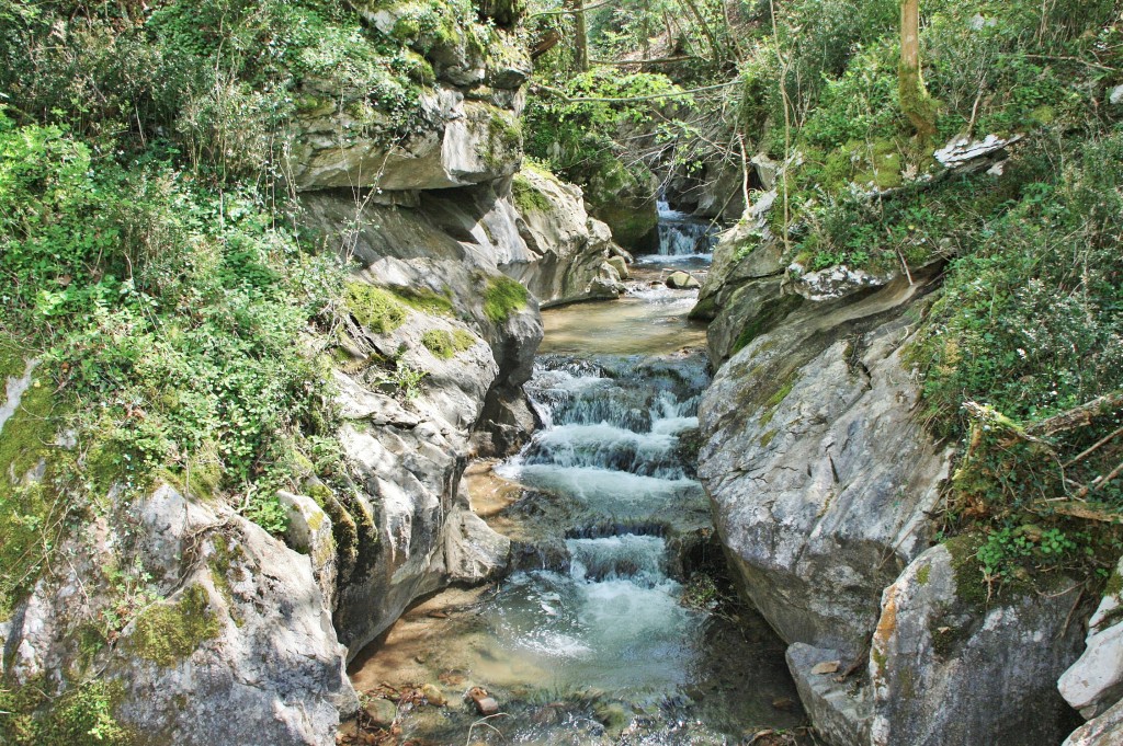 Foto: Arroyo Olabidea - Zugarramurdi (Navarra), España