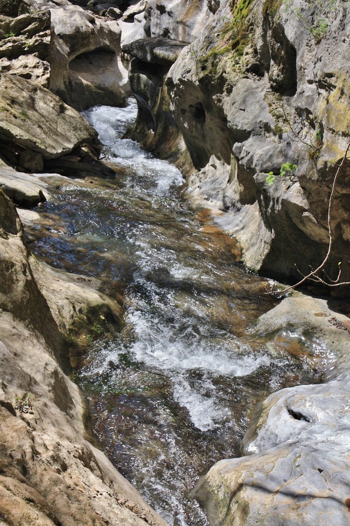 Foto: Arroyo Olabidea - Zugarramurdi (Navarra), España