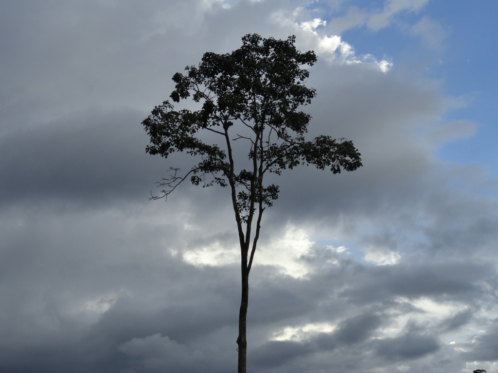 Foto: Balneario de Fátima - Puyo (Pastaza), Ecuador