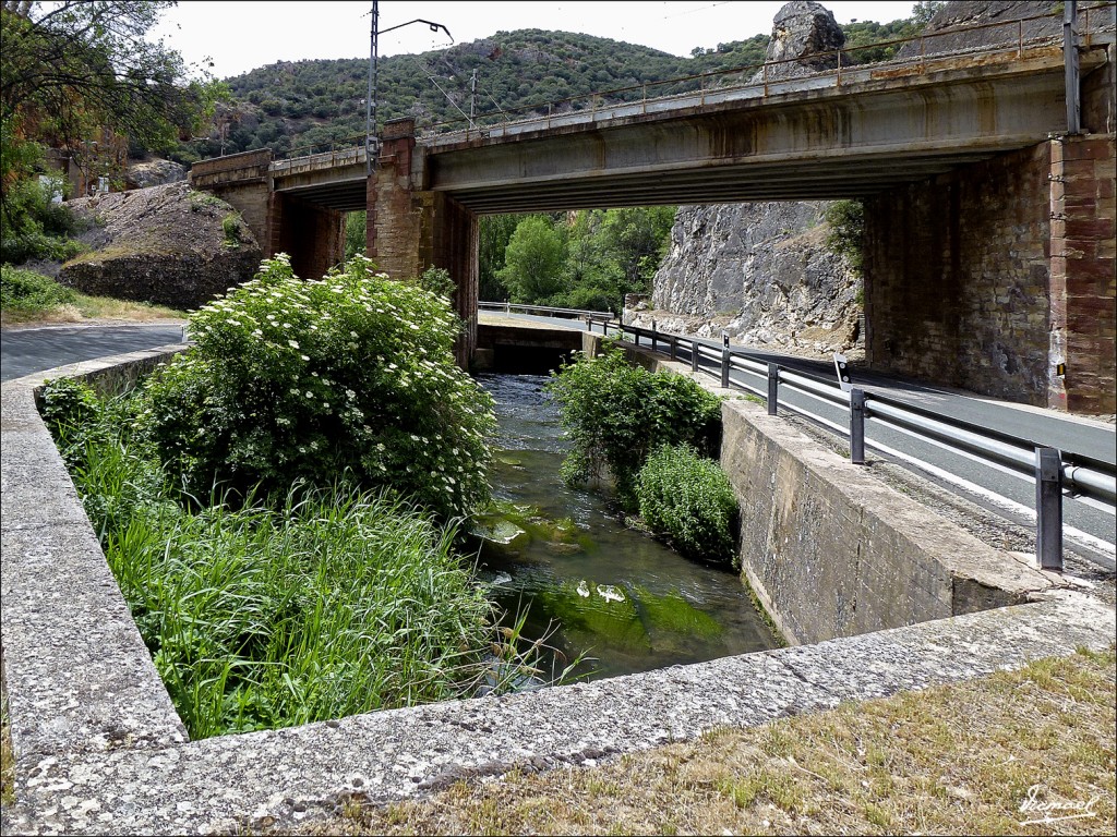 Foto: 120608-30 RIO BLANCO Y JALON - Somael (Soria), España