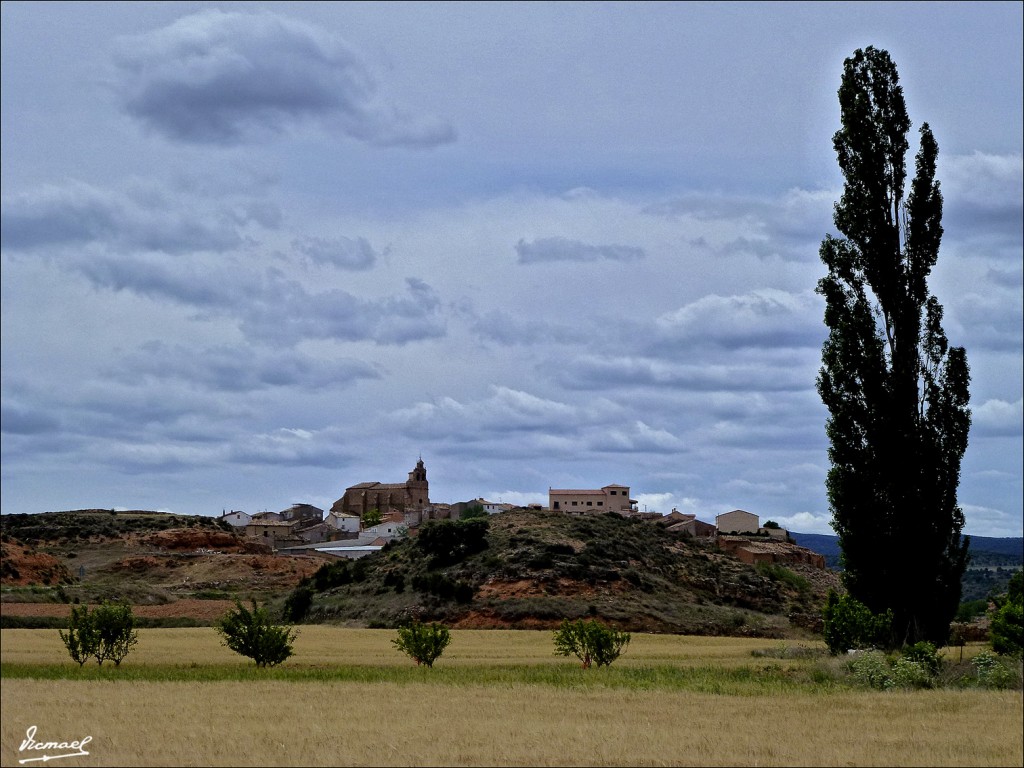 Foto: 120608-33 ALCONCHEL DE ARIZA - Alconchel De Ariza (Zaragoza), España