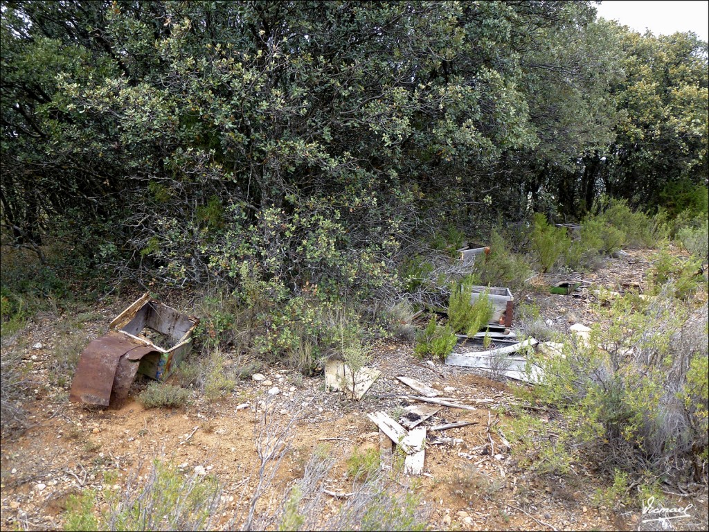 Foto: 120608-52 IRUECHA - Iruecha (Soria), España
