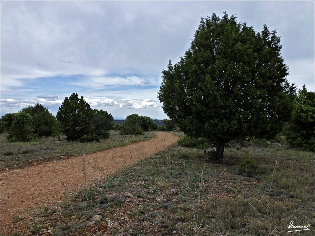 Foto: 120608-59 IRUECHA - Iruecha (Soria), España
