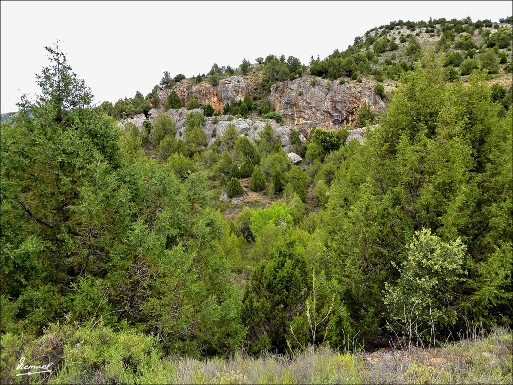 Foto: 120608-78 MOCHALES, RIO MESA - Mochales (Guadalajara), España