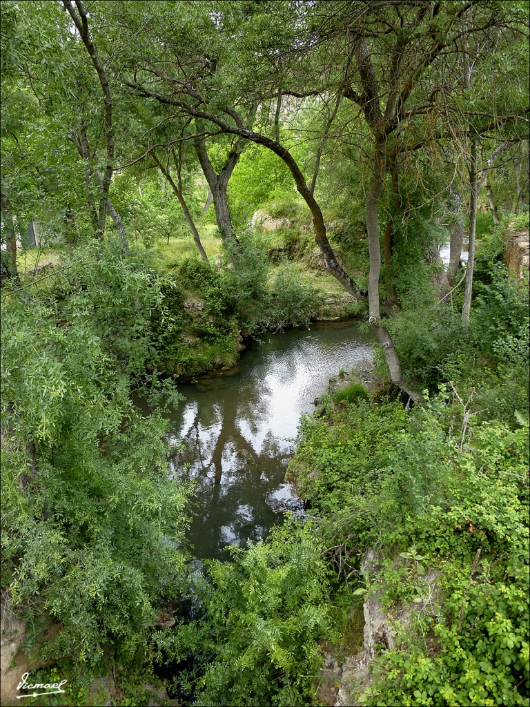 Foto: 120608-84 MOCHALES, RIO MESA - Mochales (Guadalajara), España