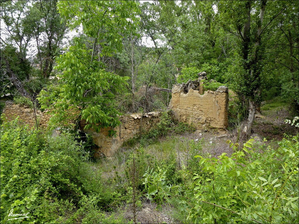 Foto: 120608-87 MOCHALES, RIO MESA - Mochales (Guadalajara), España