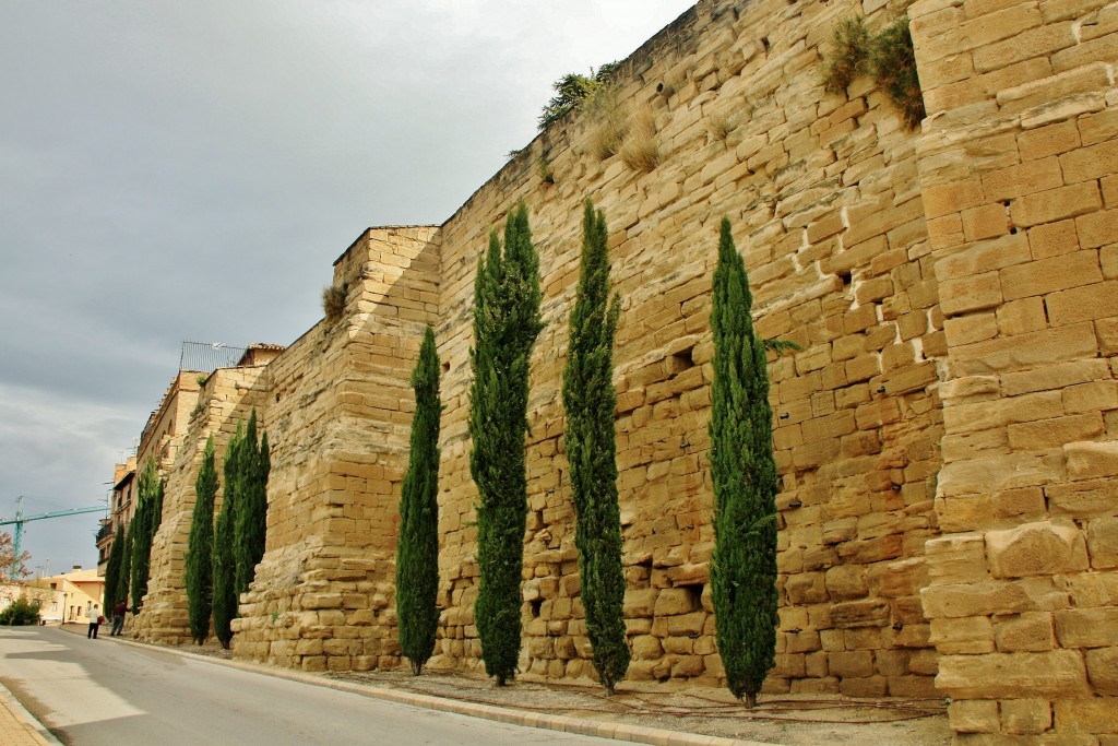 Foto: Murallas - Viana (Navarra), España