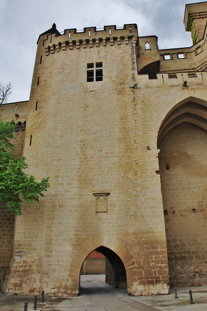 Foto: Palacio Real - Olite (Navarra), España