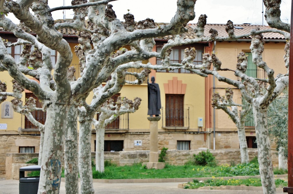 Foto: El Fosal - Olite (Navarra), España