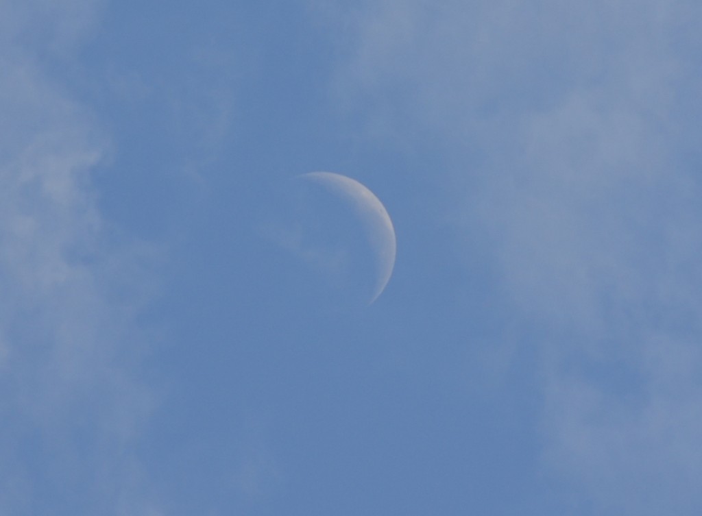 Foto: LUNA - Alajuela, Costa Rica