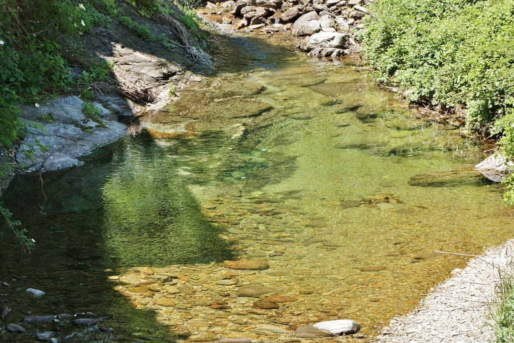 Foto: Riachuelo - Castellbò (Lleida), España