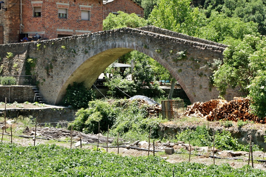 Foto: Puente medieval - Castellbò (Lleida), España