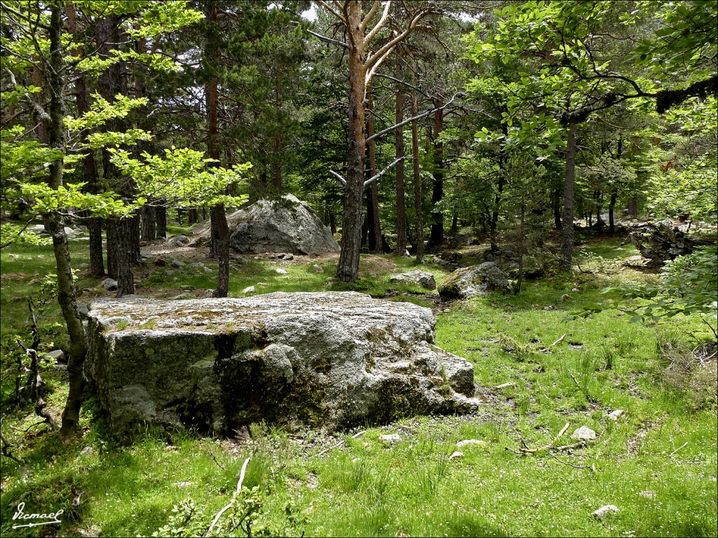 Foto: 120609-074 LAGUNA NEGRA - Laguna Negra (Soria), España