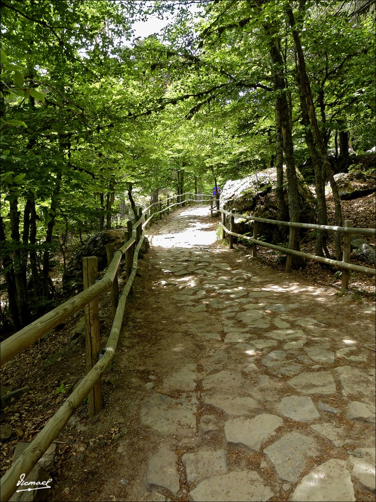 Foto: 120609-075 LAGUNA NEGRA - Laguna Negra (Soria), España