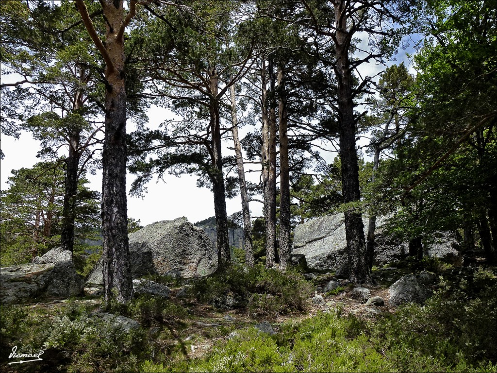 Foto: 120609-076 LAGUNA NEGRA - Laguna Negra (Soria), España