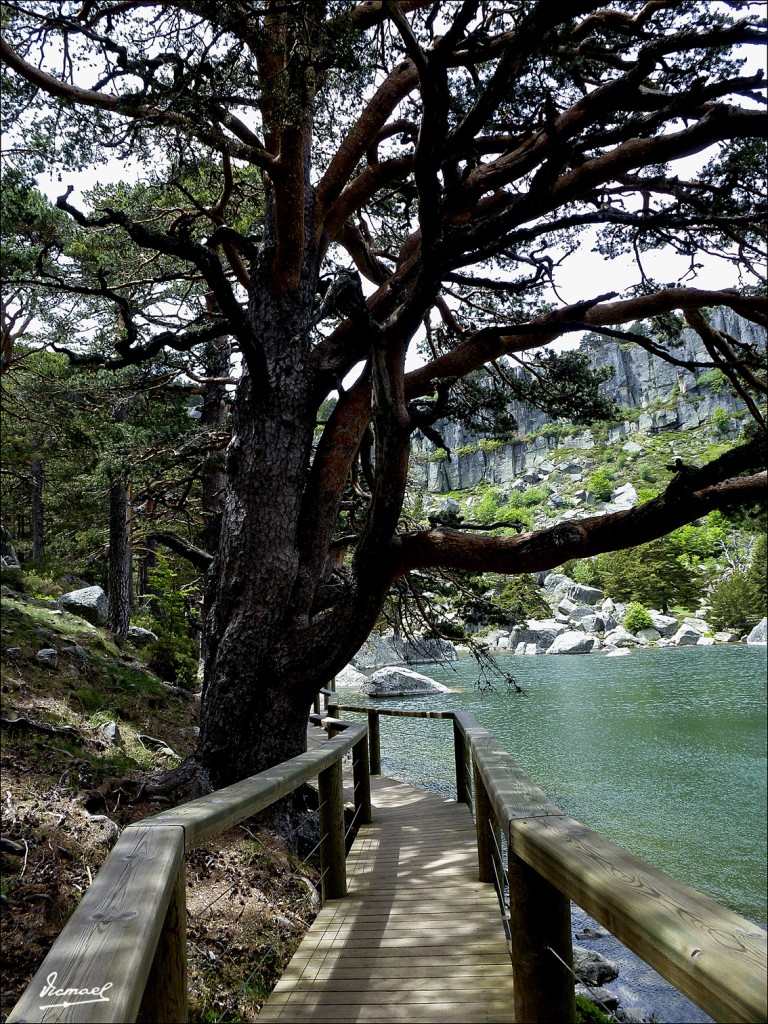 Foto: 120609-086 LAGUNA NEGRA - Laguna Negra (Soria), España