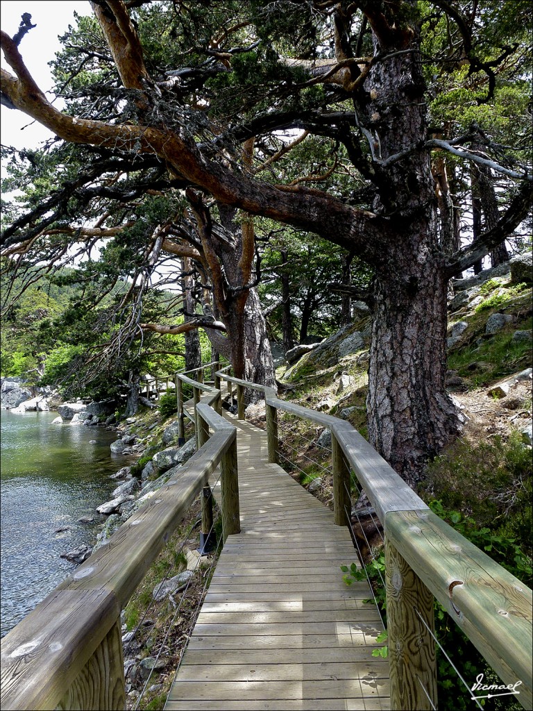 Foto: 120609-087 LAGUNA NEGRA - Laguna Negra (Soria), España