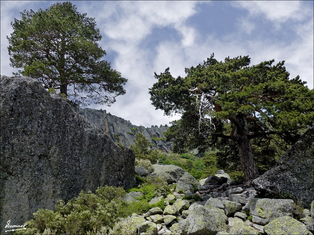 Foto: 120609-095 LAGUNA NEGRA - Laguna Negra (Soria), España