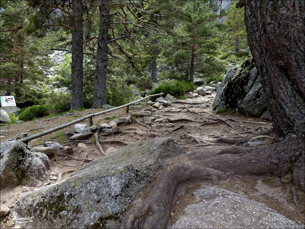 Foto: 120609-100 LAGUNA NEGRA - Laguna Negra (Soria), España