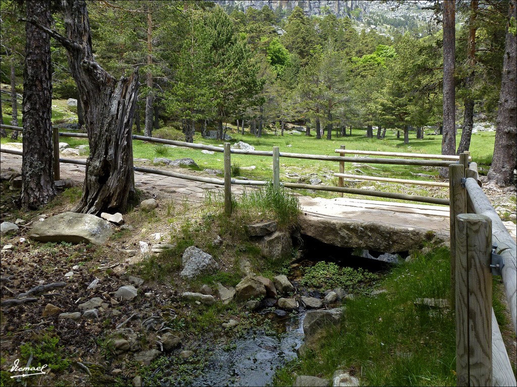 Foto: 120609-106 LAGUNA NEGRA - Laguna Negra (Soria), España