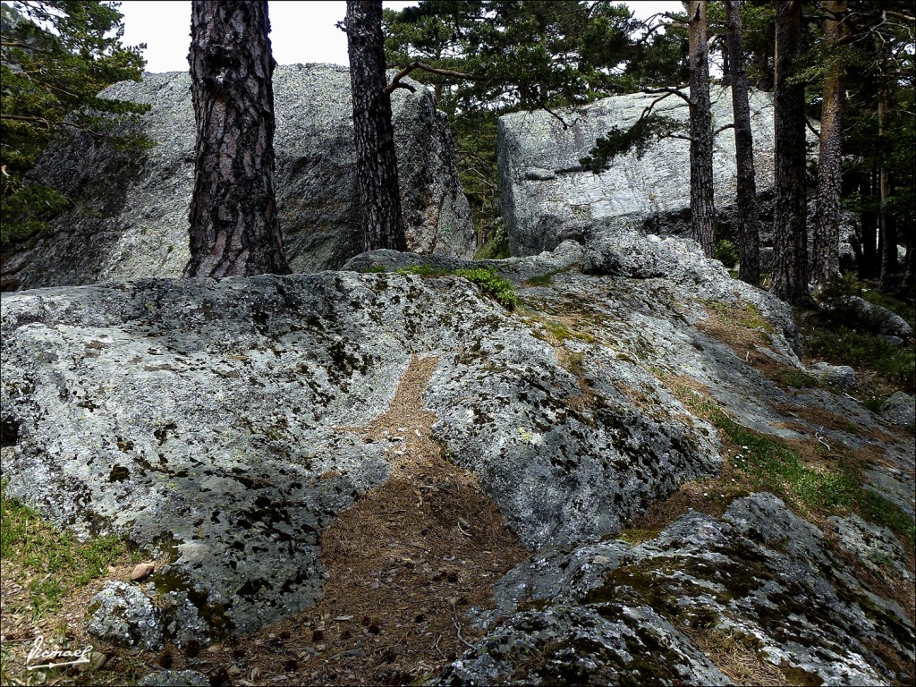 Foto: 120609-107 LAGUNA NEGRA - Laguna Negra (Soria), España
