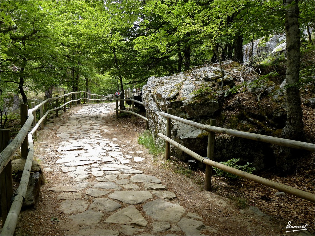 Foto: 120609-108 LAGUNA NEGRA - Laguna Negra (Soria), España