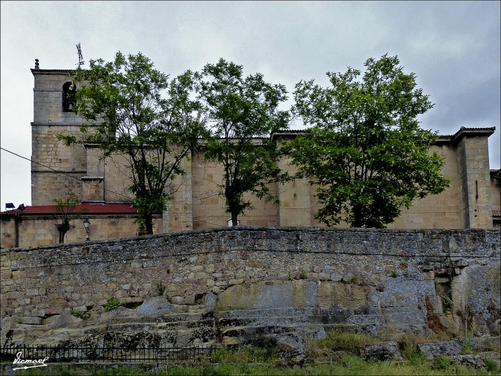 Foto: 120609-137 COVALEDA - Covaleda (Soria), España