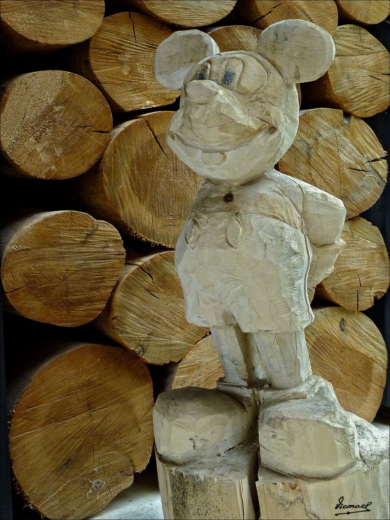 Foto: 120609-149 COMUNERO REVENGA - Comunero Revenga (Burgos), España