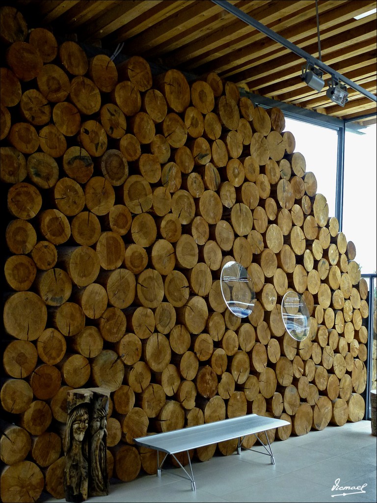 Foto: 120609-150 COMUNERO REVENGA - Comunero Revenga (Burgos), España