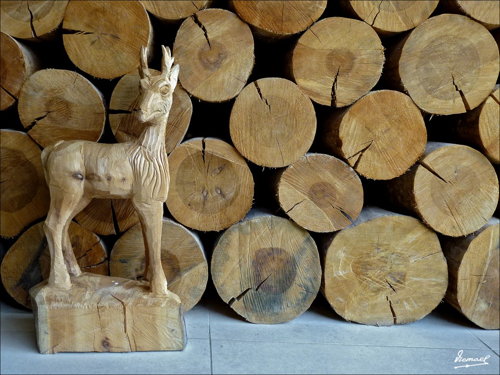 Foto: 120609-153 COMUNERO REVENGA - Comunero Revenga (Burgos), España