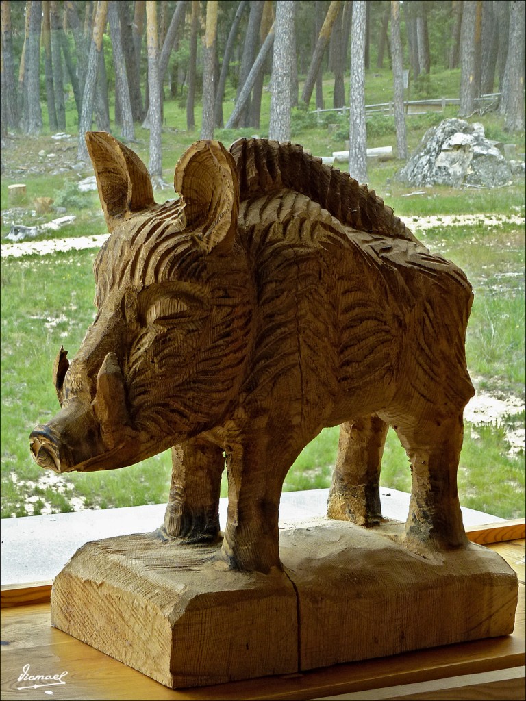 Foto: 120609-163 COMUNERO REVENGA - Comunero Revenga (Burgos), España