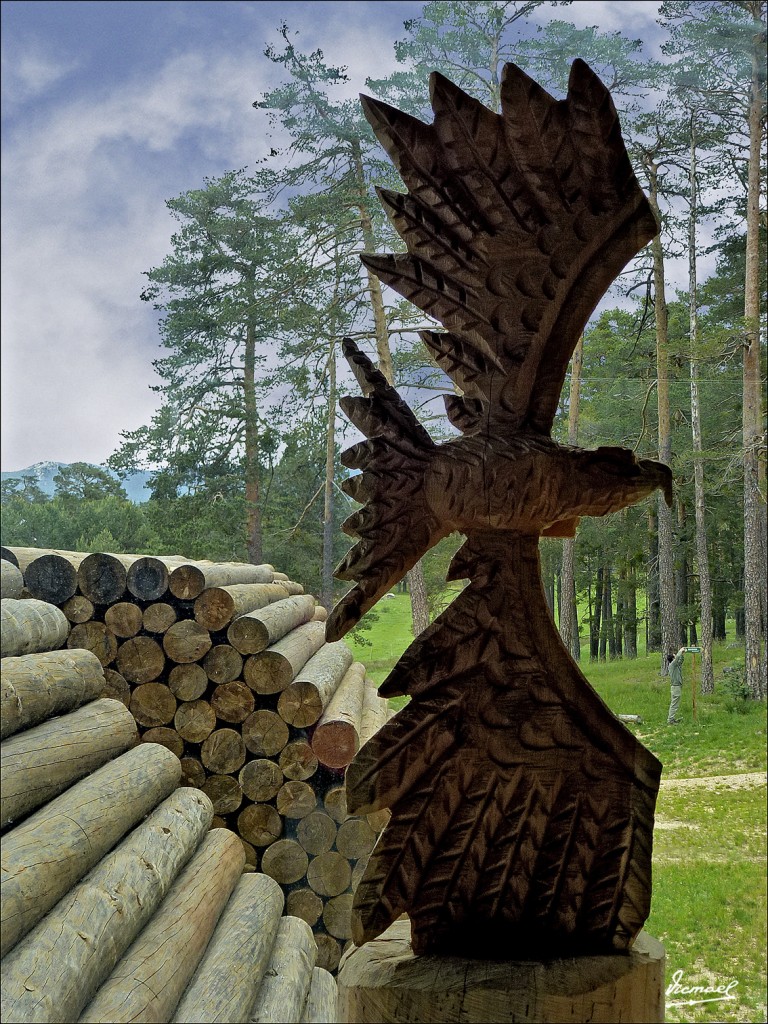 Foto: 120609-164 COMUNERO REVENGA - Comunero Revenga (Burgos), España