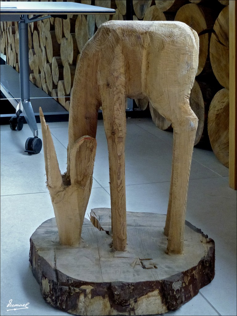 Foto: 120609-165 COMUNERO REVENGA - Comunero Revenga (Burgos), España