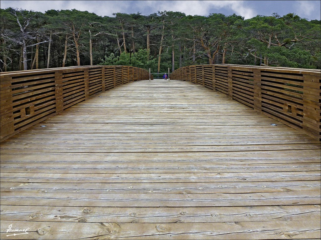 Foto: 120609-171 COMUNERO REVENGA - Comunero Revenga (Burgos), España