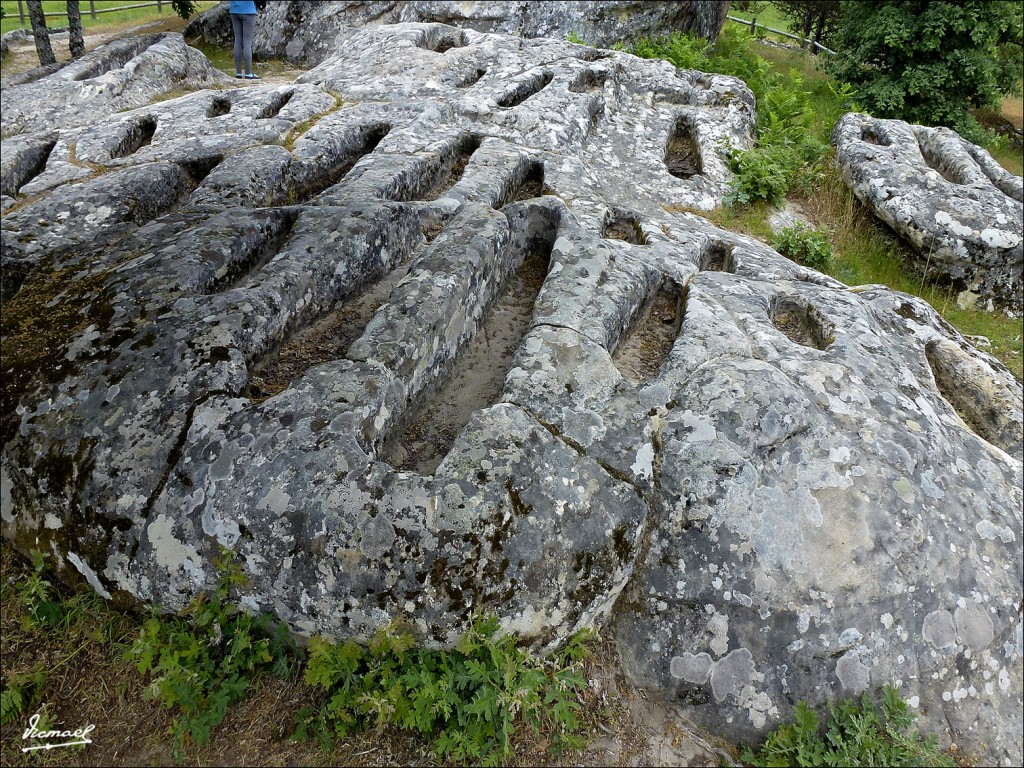 Foto: 120609-181 COMUNERO REVENGA - Comunero Revenga (Burgos), España