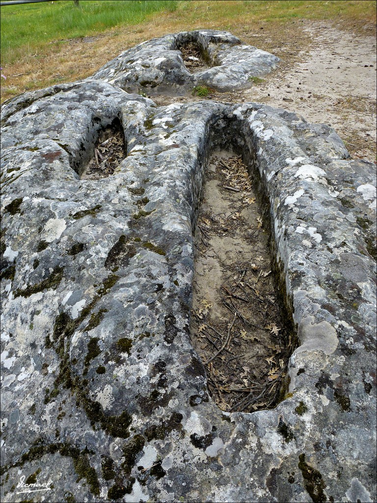 Foto: 120609-183 COMUNERO REVENGA - Comunero Revenga (Burgos), España