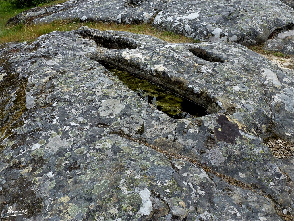 Foto: 120609-184 COMUNERO REVENGA - Comunero Revenga (Burgos), España