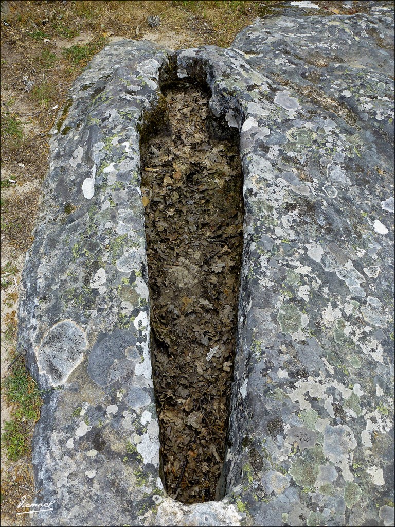 Foto: 120609-185 COMUNERO REVENGA - Comunero Revenga (Burgos), España