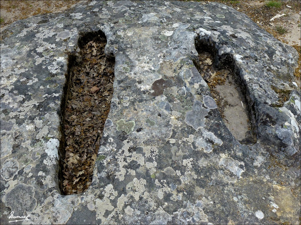 Foto: 120609-186 COMUNERO REVENGA - Comunero Revenga (Burgos), España