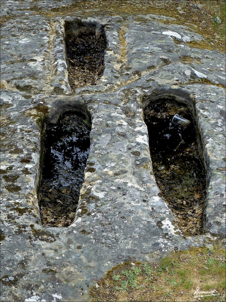 Foto: 120609-188 COMUNERO REVENGA - Comunero Revenga (Burgos), España