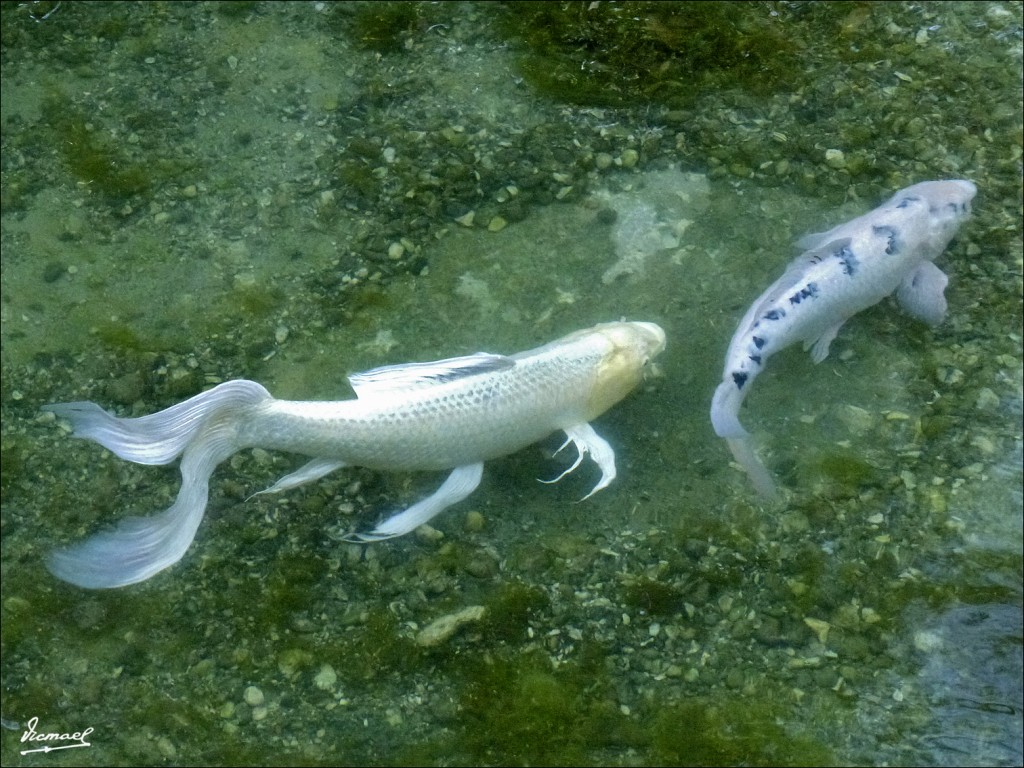 Foto: 120614-14 MARINA D'OR - Oropesa Del Mar (Castelló), España