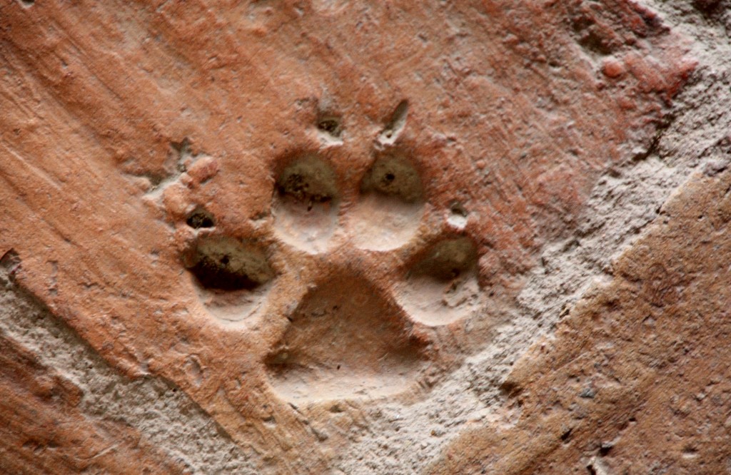 Foto: Huella en la iglesia fortaleza de Santa María - Ujué (Navarra), España