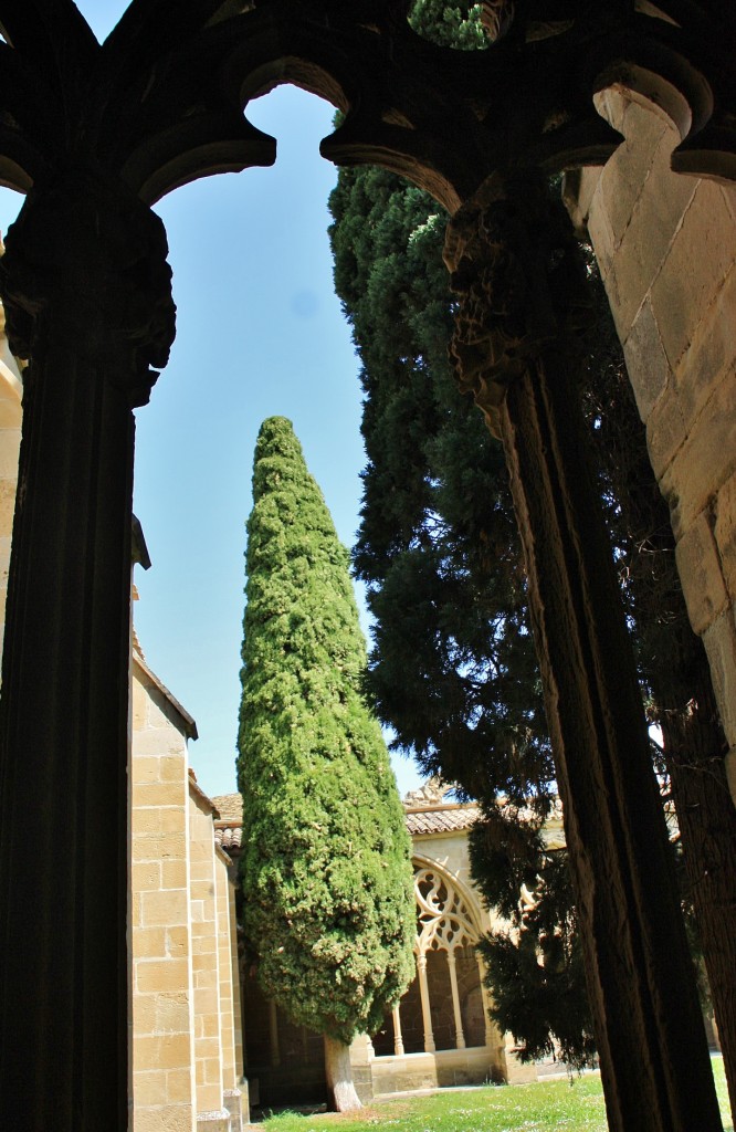 Foto: Monasterio de la Oliva - Carcastillo (Navarra), España